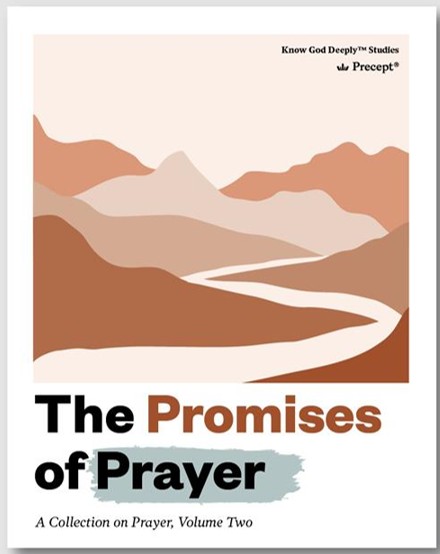 Book cover with stylized mountains and path